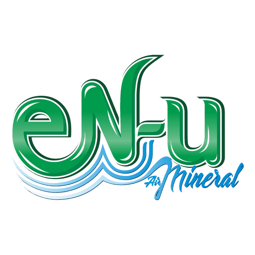 Logo Enu Mineral